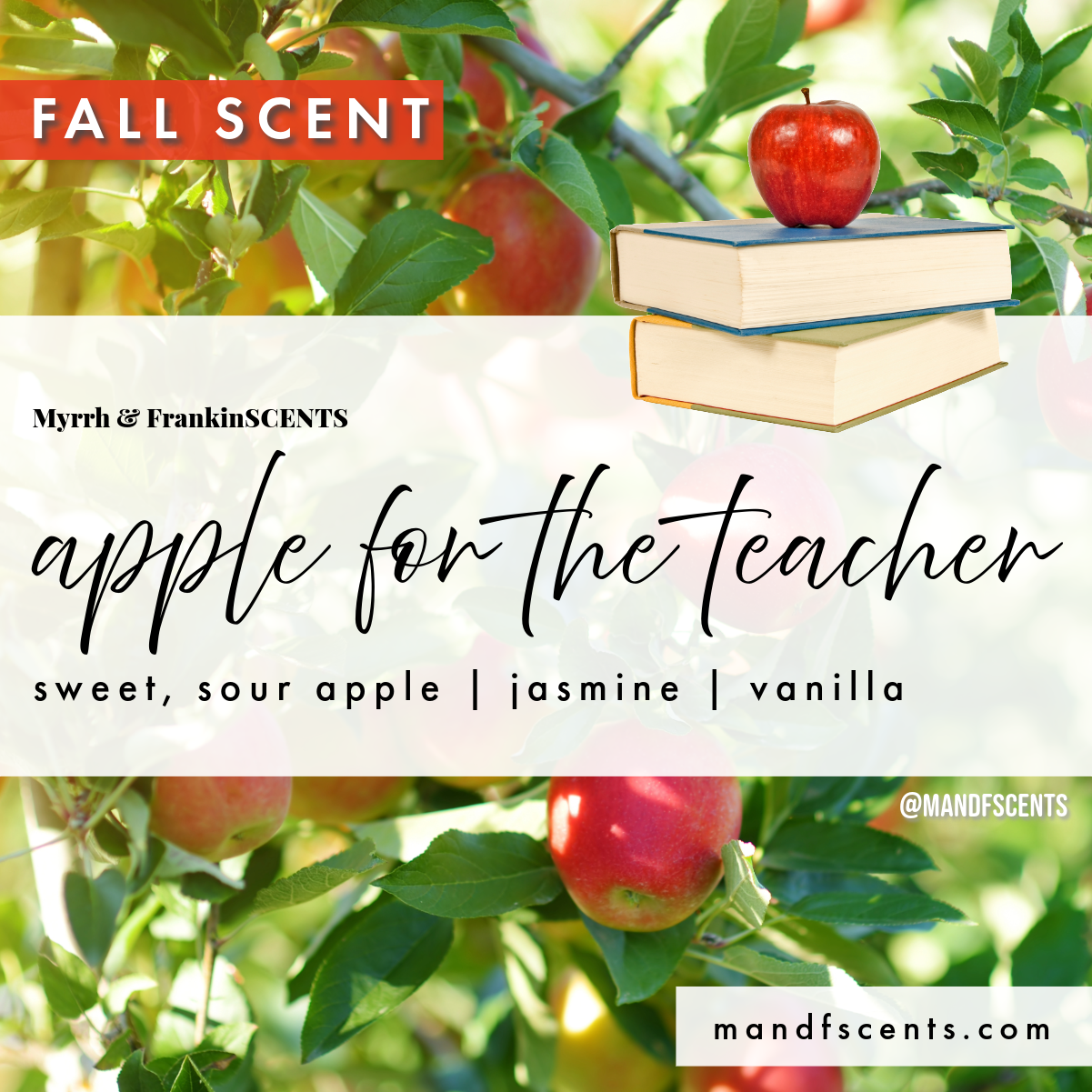 Apple For The Teacher Diffuser {FALL COLLECTION}