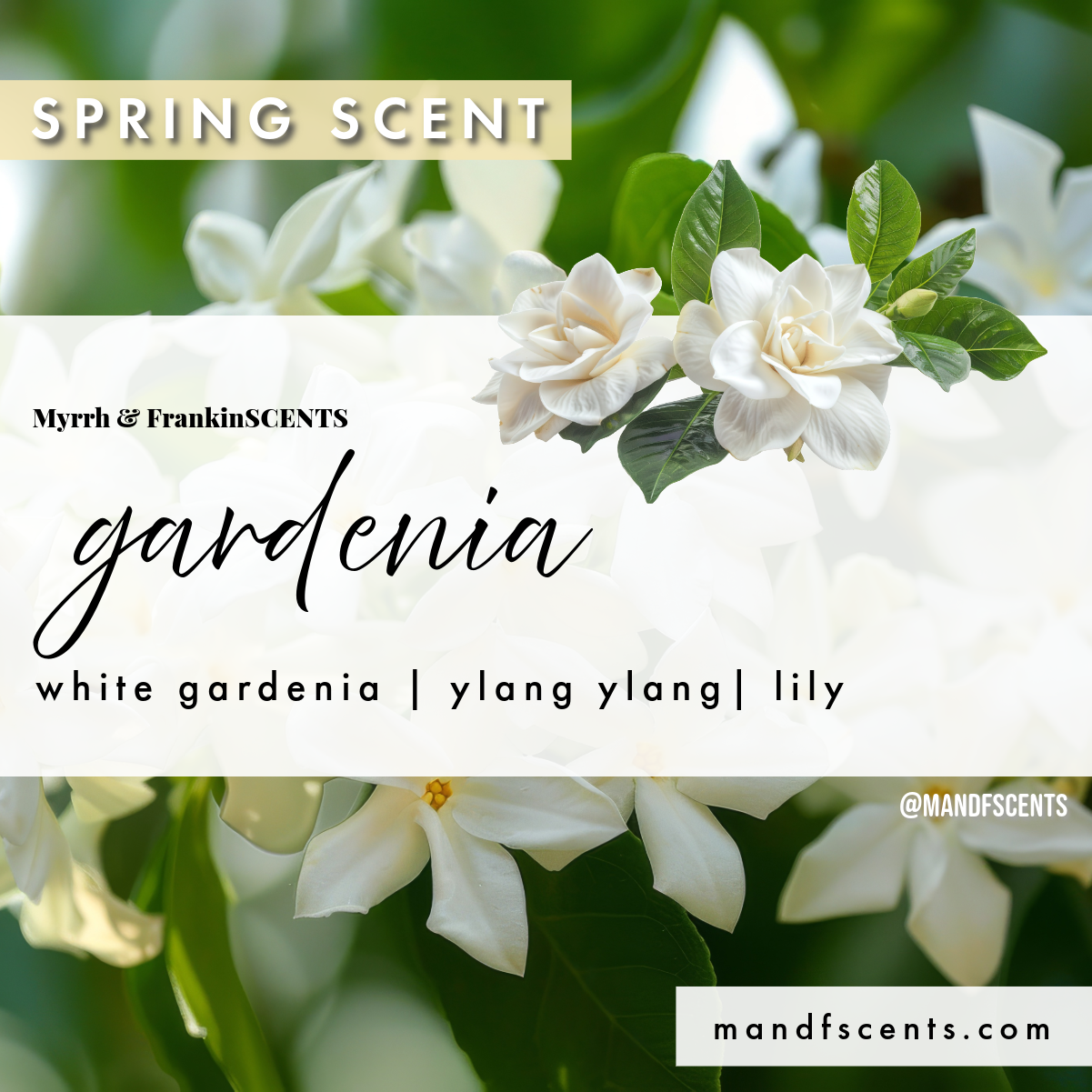 Gardenia Diffuser