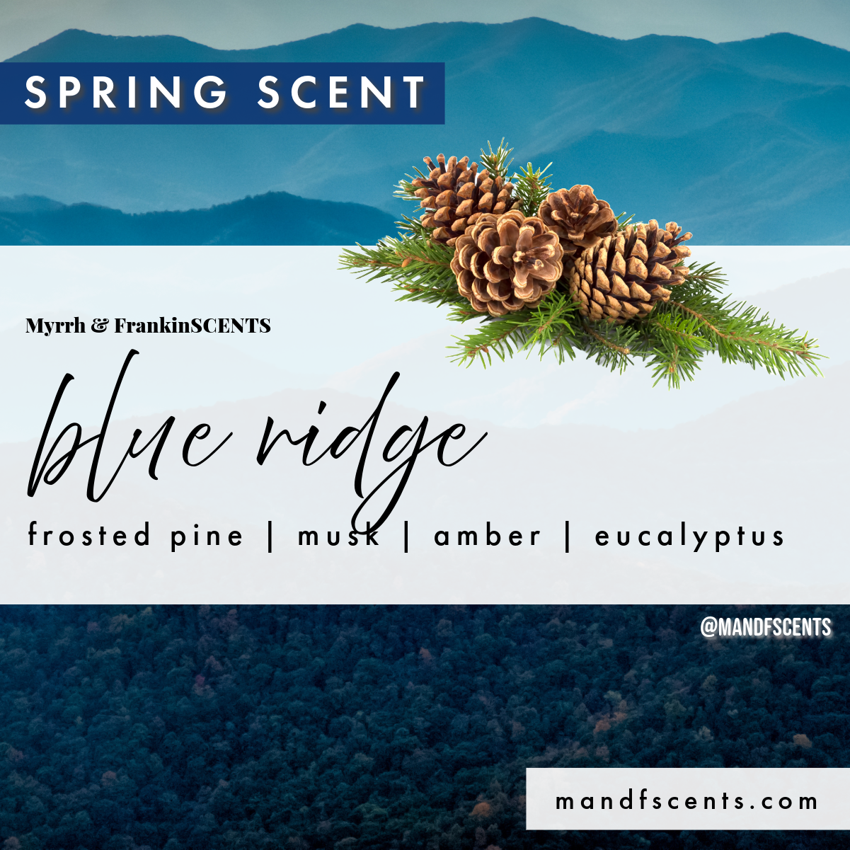 Smell Good Bundle | Bar Soap + Dry Oil